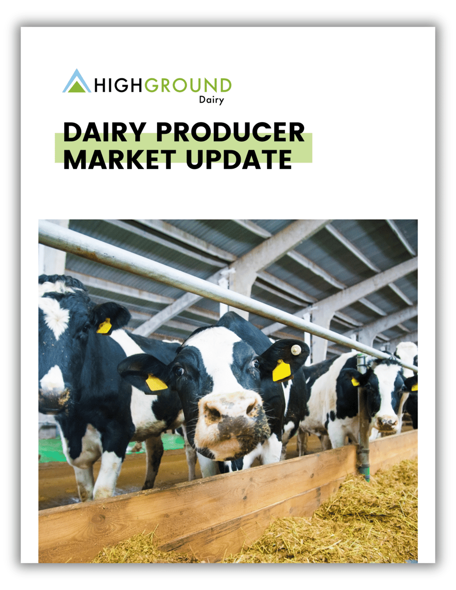 Dairy Producer Market Update