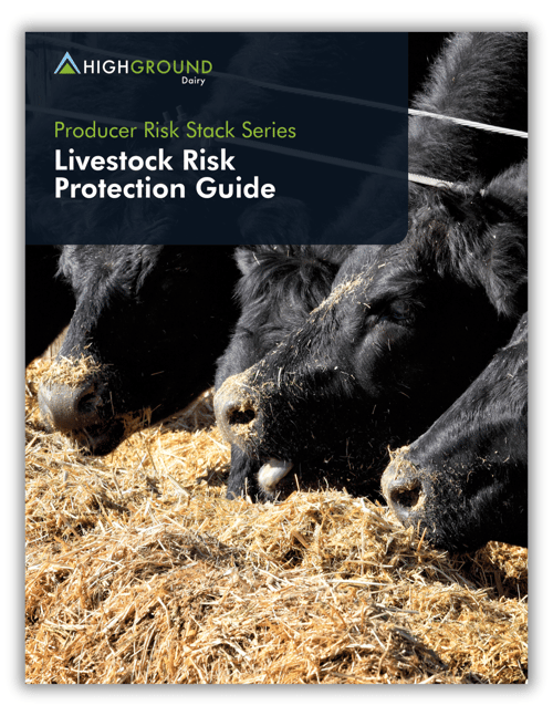 LRP Guide Graphic - Landing Page 