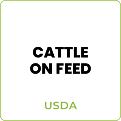 USDA Cattle on Feed