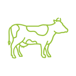 us milk production